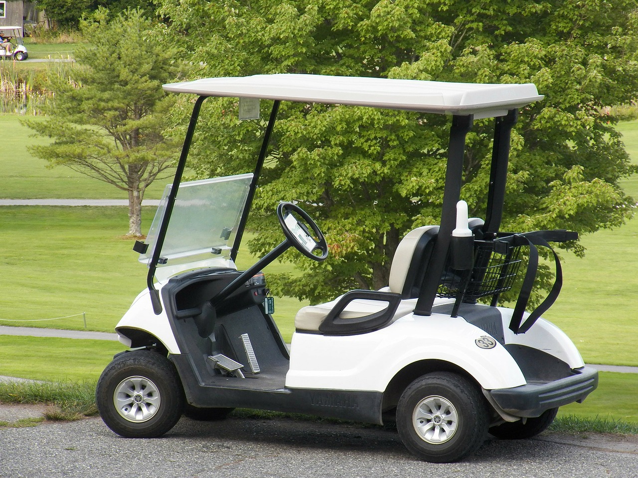 Golf cart
